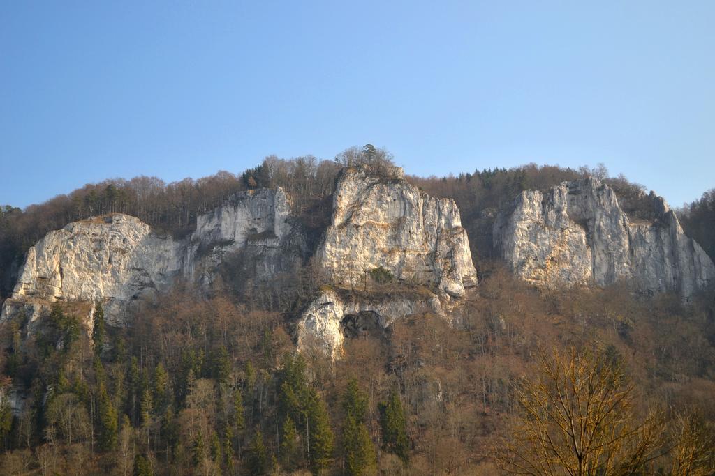 Fewo Larissa Daire Beuron Oda fotoğraf
